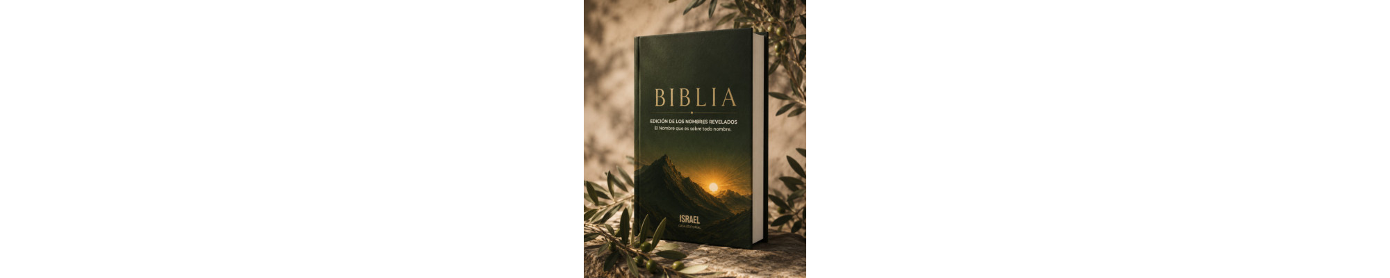 Biblias: Estudio, Letra Grande y Más | Nación de Libros Juda